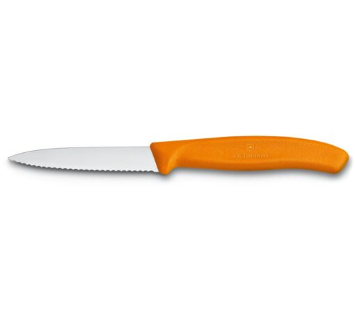 Victorinox SwissClassic