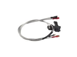 ASG Switch