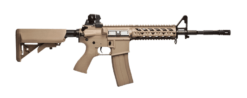 EGC 16P RDL DNB NCM 1