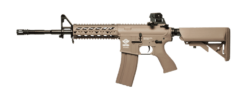 CM16 Raider-L