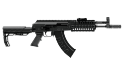 cak1