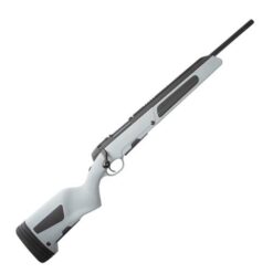 Asg Steyr