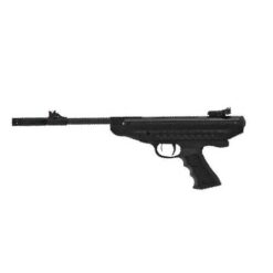 Hatsan mod 25