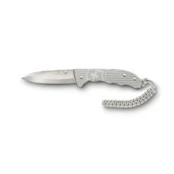 Victorinox Evoke Alox Silver- V0.9415.d26